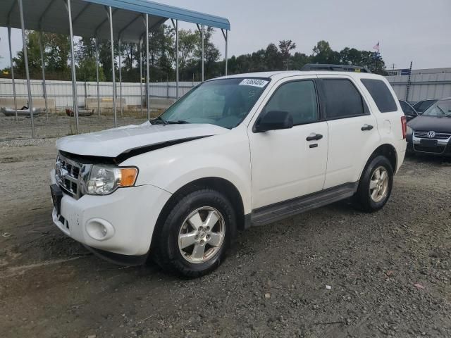 2010 Ford Escape XLT