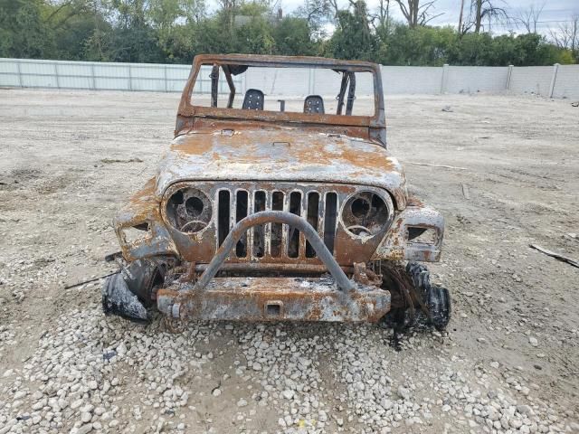 1999 Jeep Wrangler / TJ Sahara