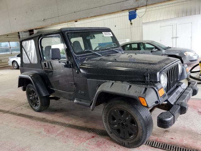 2002 Jeep Wrangler / TJ SE