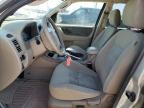 2006 Ford Escape XLT