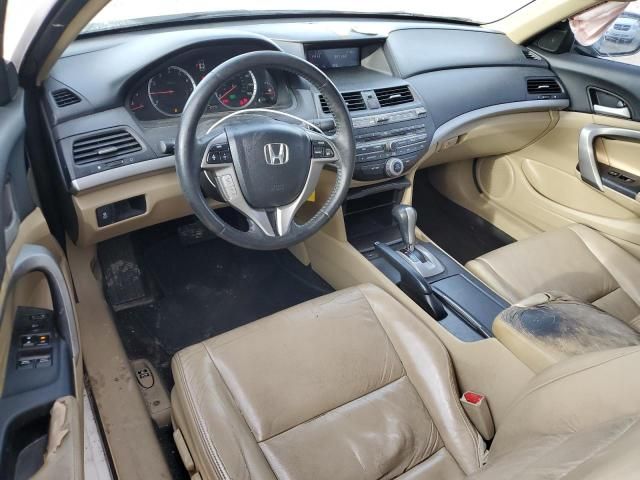 2012 Honda Accord EXL