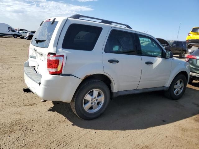 2010 Ford Escape XLS