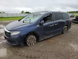 Honda Vehiculos salvage en venta: 2022 Honda Odyssey EXL