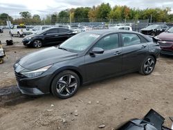 Salvage cars for sale at Chalfont, PA auction: 2023 Hyundai Elantra SEL