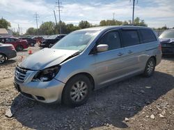 Salvage cars for sale at Columbus, OH auction: 2010 Honda Odyssey EX