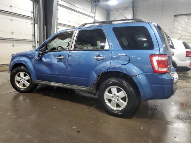 2009 Ford Escape XLT