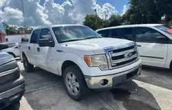 Ford salvage cars for sale: 2014 Ford F150 Supercrew