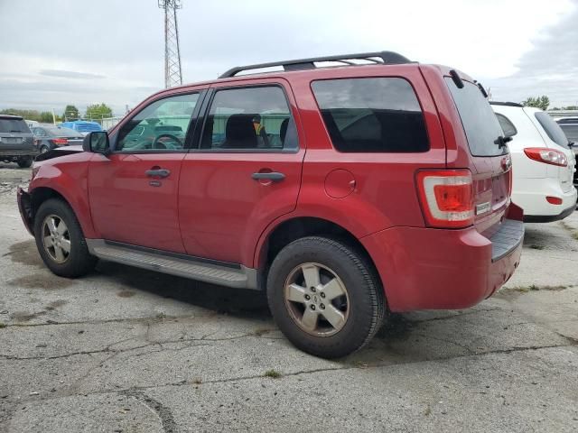 2010 Ford Escape XLT