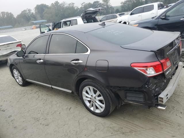 2010 Lexus ES 350