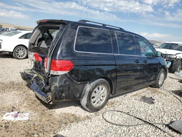 2010 Honda Odyssey EXL