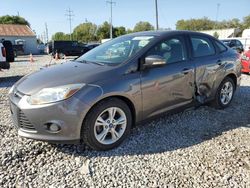 Salvage cars for sale at Columbus, OH auction: 2013 Ford Focus SE