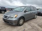 2009 Honda Odyssey EXL