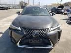 2023 Lexus UX 250H Base