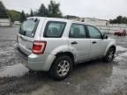 2009 Ford Escape XLS