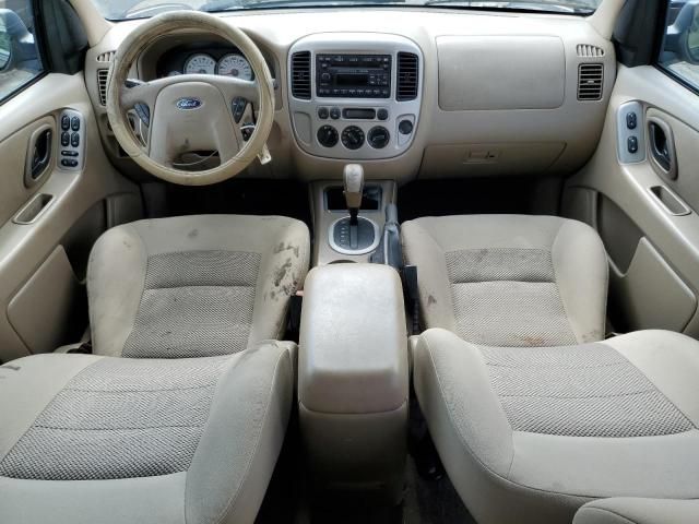 2006 Ford Escape XLT