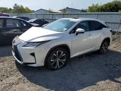 Lexus salvage cars for sale: 2019 Lexus RX 350 Base