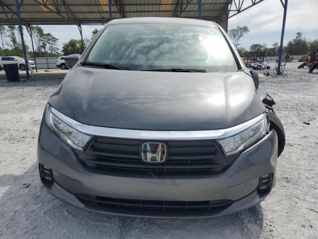 2023 Honda Odyssey EXL