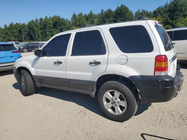 2005 Ford Escape XLT