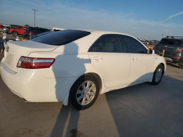 2009 Toyota Camry Hybrid