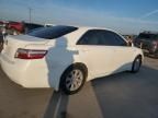 2009 Toyota Camry Hybrid