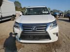 2019 Lexus GX 460