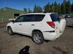 2006 Toyota Rav4