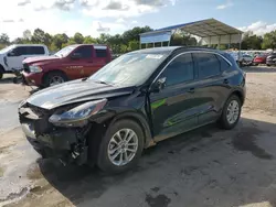 Salvage cars for sale at Florence, MS auction: 2020 Ford Escape SE