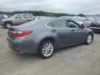 2013 Lexus ES 300H