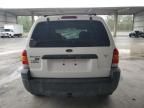 2002 Ford Escape XLT