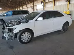 Salvage cars for sale at Phoenix, AZ auction: 2010 Toyota Camry Base