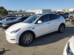 Vehiculos salvage en venta de Copart Martinez, CA: 2023 Tesla Model Y