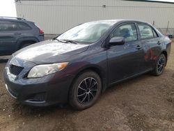 Vehiculos salvage en venta de Copart Rocky View County, AB: 2010 Toyota Corolla Base