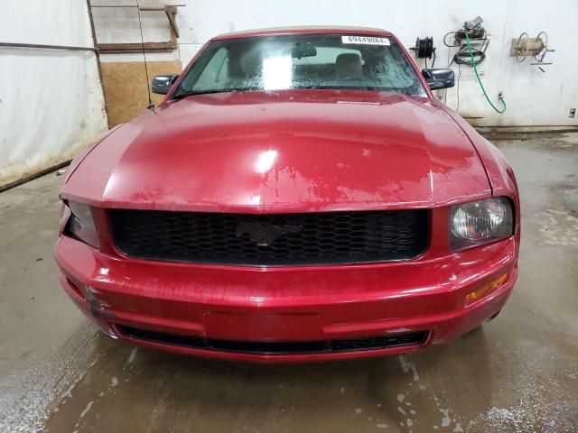 2005 Ford Mustang