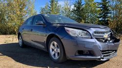 Salvage cars for sale at Nisku, AB auction: 2013 Chevrolet Malibu 1LT