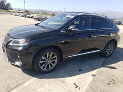 Salvage cars for sale at Van Nuys, CA auction: 2013 Lexus RX 350 Base