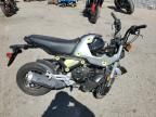 2023 Honda Grom 125