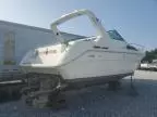 1991 Sea Ray Boat