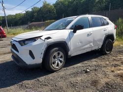 Toyota salvage cars for sale: 2019 Toyota Rav4 LE