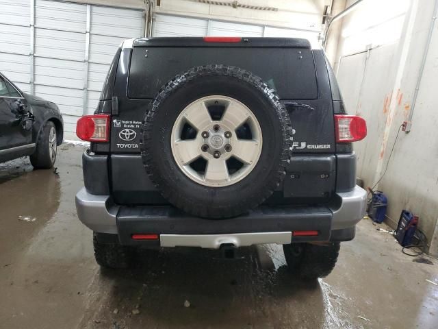 2007 Toyota FJ Cruiser