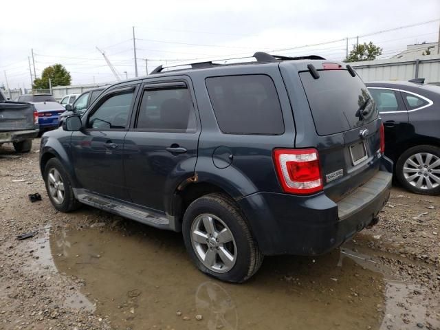 2009 Ford Escape Limited