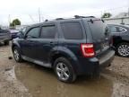 2009 Ford Escape Limited