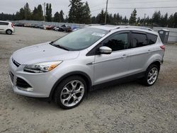 Ford salvage cars for sale: 2014 Ford Escape Titanium