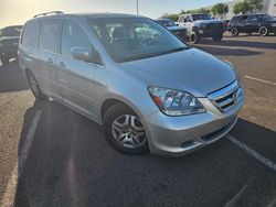 Salvage cars for sale at Phoenix, AZ auction: 2005 Honda Odyssey EXL