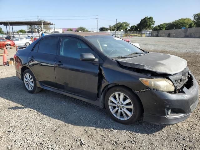 2010 Toyota Corolla Base