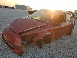 Salvage cars for sale at Taylor, TX auction: 2024 Tesla Model Y