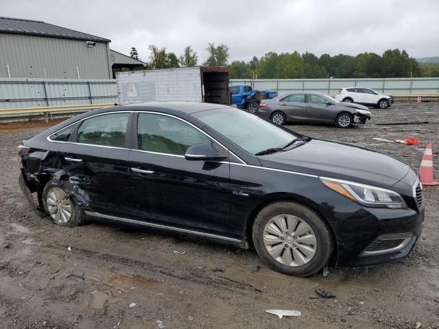 2016 Hyundai Sonata Hybrid