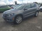 2013 Volkswagen Tiguan S