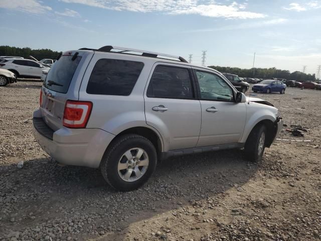 2011 Ford Escape Limited