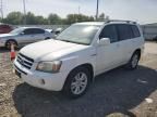 2007 Toyota Highlander Hybrid