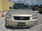 2007 Ford Escape Limited